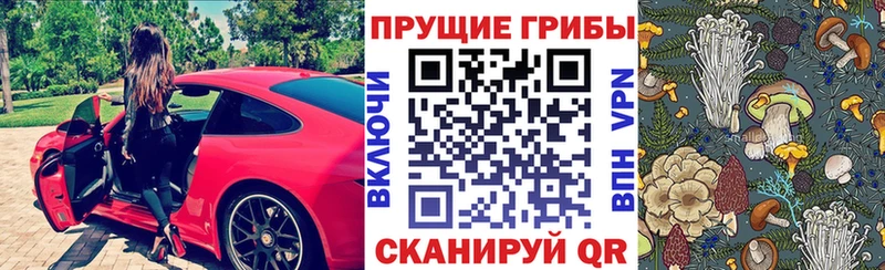 Псилоцибиновые грибы Cubensis  как найти закладки  Пыталово 